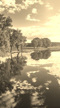 Sepia