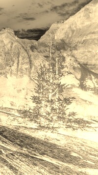 Sepia + Negatyw