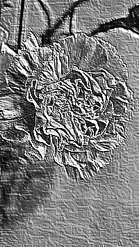 Skamielina