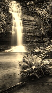 Sepia