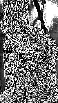 Skamielina