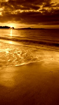 Sepia