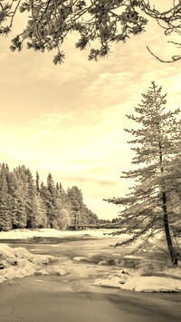 Sepia