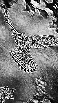 Skamielina