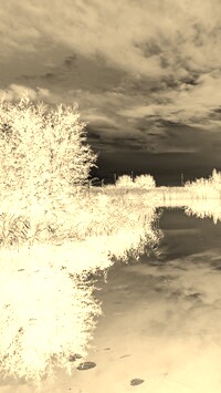Sepia + Negatyw