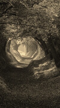 Szary + Sepia
