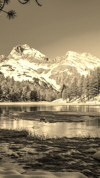 Szary + Sepia