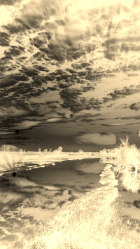 Sepia + Negatyw