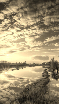 Szary + Sepia