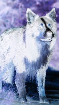 Negatyw