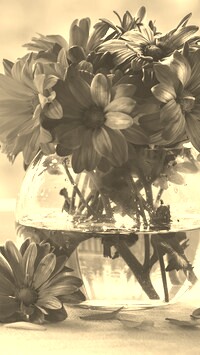 Szary + Sepia