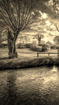 Sepia