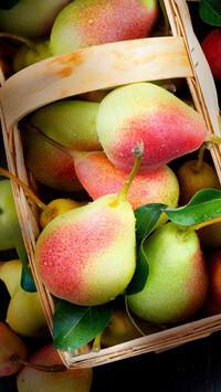 Oryginalny obrazek