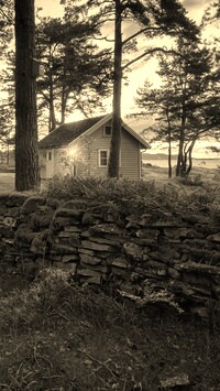 Szary + Sepia