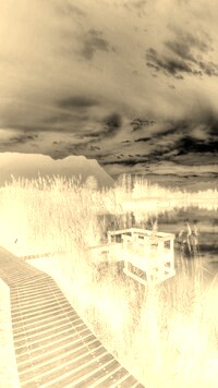 Sepia + Negatyw
