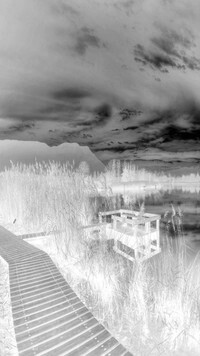 Szary + Negatyw