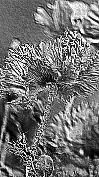 Skamielina