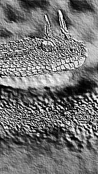 Skamielina
