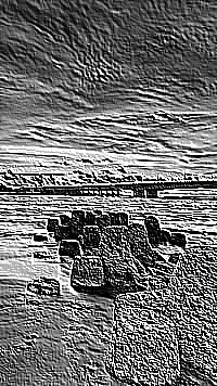 Skamielina