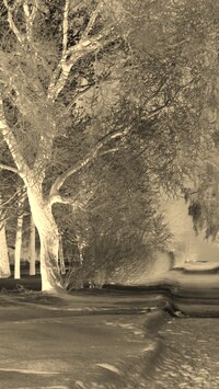 Sepia + Negatyw