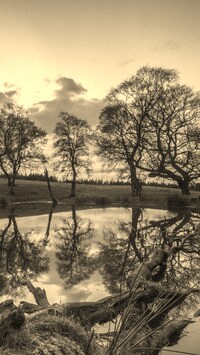 Szary + Sepia