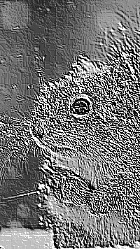 Skamielina