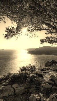 Szary + Sepia