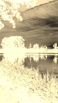 Sepia + Negatyw
