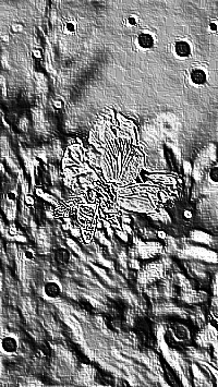 Skamielina