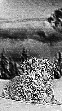 Skamielina
