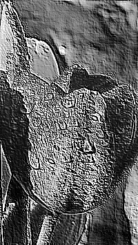 Skamielina