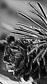 Skamielina