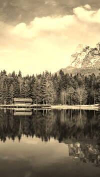 Szary + Sepia