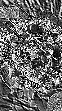 Skamielina
