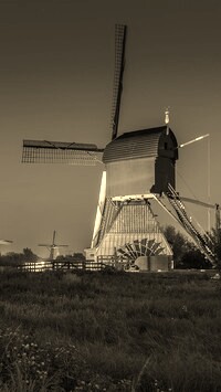 Szary + Sepia