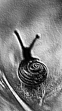 Skamielina