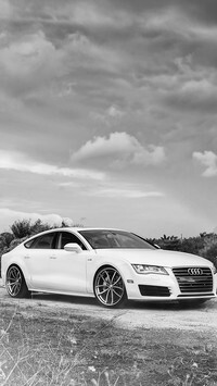 Szary