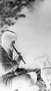 Szary + Negatyw