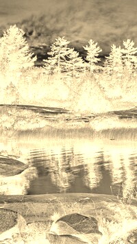 Sepia + Negatyw