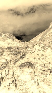 Sepia + Negatyw