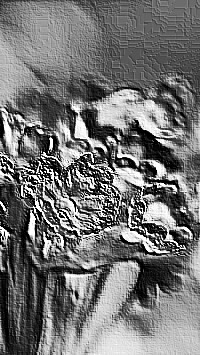 Skamielina
