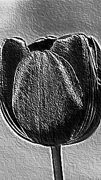Skamielina