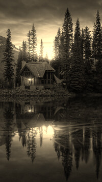 Szary + Sepia