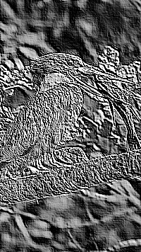 Skamielina