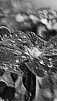 Skamielina