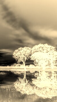 Sepia + Negatyw