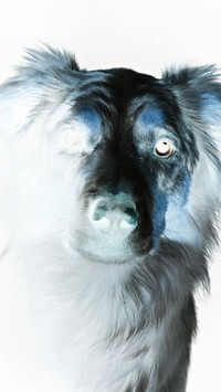 Negatyw
