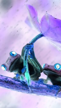 Negatyw