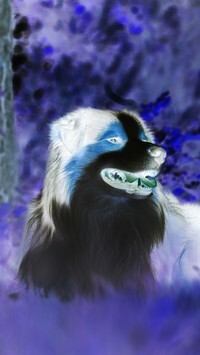 Negatyw