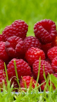 Oryginalny obrazek